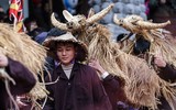 [ẢNH] Đầu xuân xem người đội trâu rơm đi cày, trai giả gái tung trấu gieo mạ...